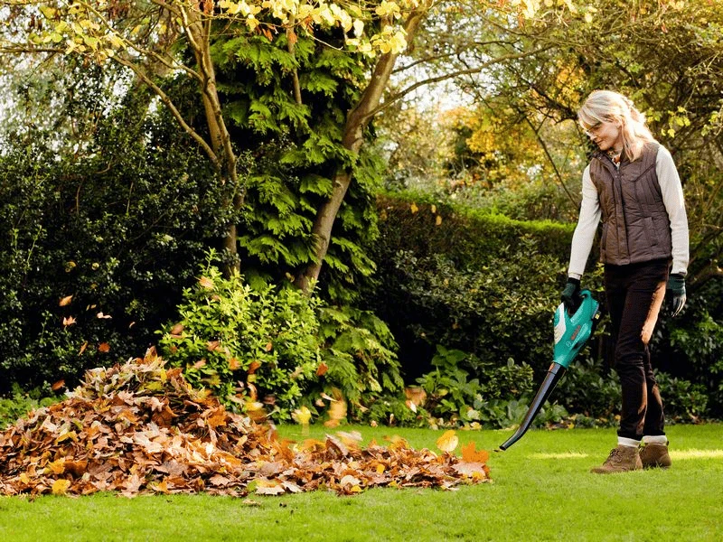 Bosch Akku Laubbläser ALB 18 LI Mit 1 X Akkupack PBA 18V 2,5 Ah W-B Ladegerät 06008A0501 4 Bosch Akku Laubbläser ALB 18 LI Mit 1 X Akkupack PBA 18V 2,5 Ah W-B Ladegerät 06008A0501 – Bild 2